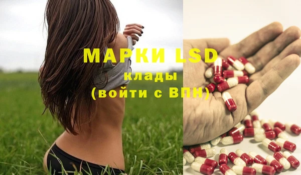 PSILOCYBIN Беломорск