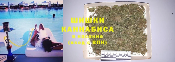 PSILOCYBIN Беломорск